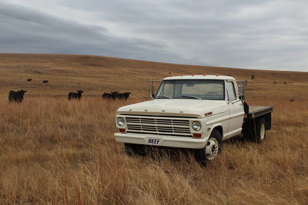 1969 Ford F-Series 5th Gen - Image 2 of 31