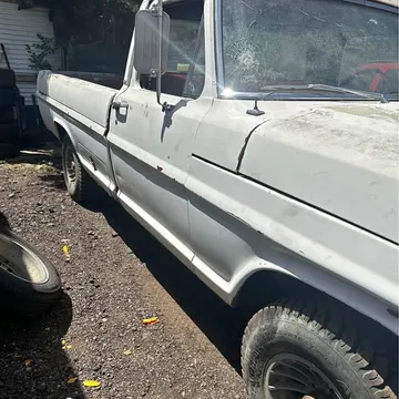 1969 Ford F1