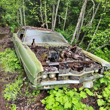 1969 Ford GT Parts