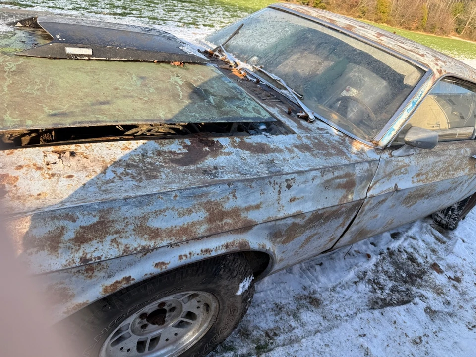 1969 Ford Mustang 1st Gen (1969-1970) - Image 11 of 21