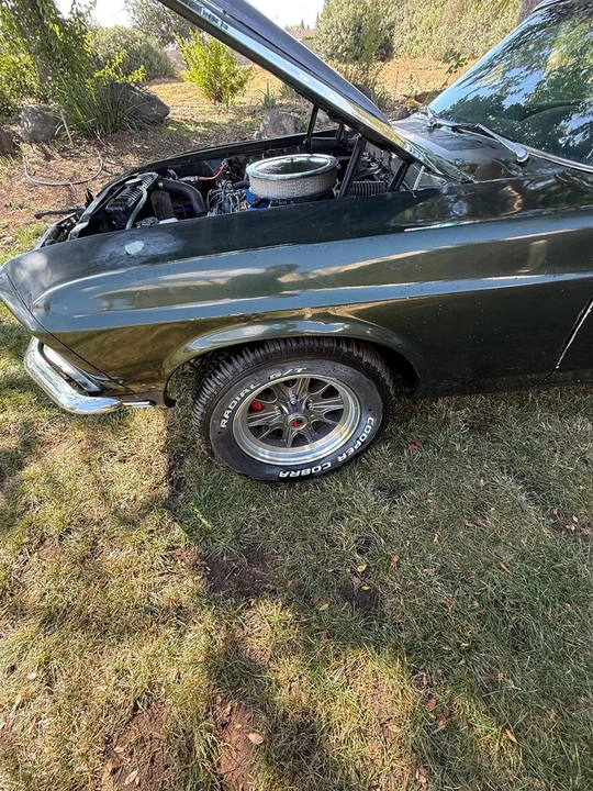 1969 Ford Mustang 1st Gen (1969-1970) - Image 8 of 20