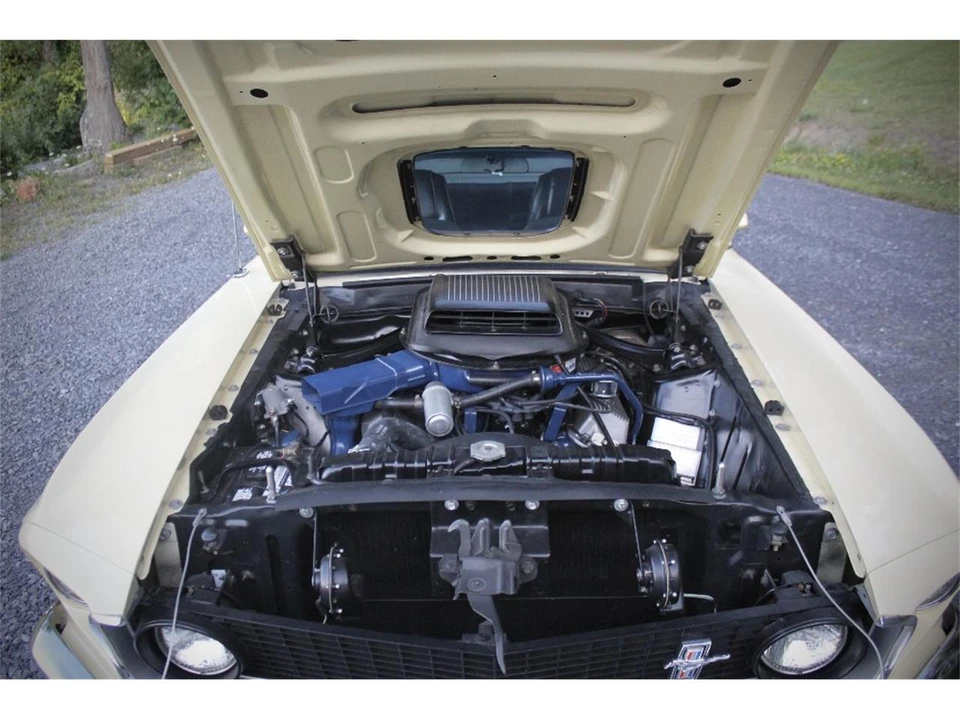 1969 Ford Mustang Mach 1 1st Gen (1969-1970) - Image 8 of 31