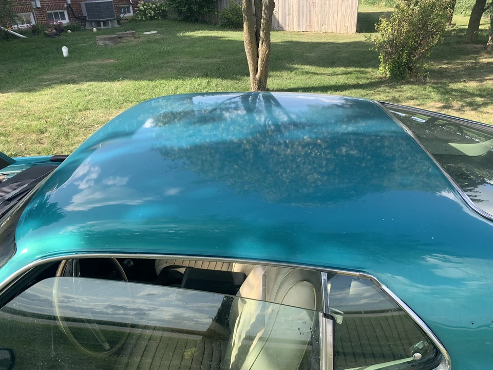 1969 Ford Mustang Super Cobra Jet 1st Gen - Image 20 of 31