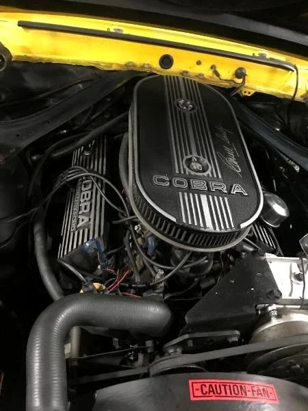 1969 Shelby GT350 - Image 15 of 15