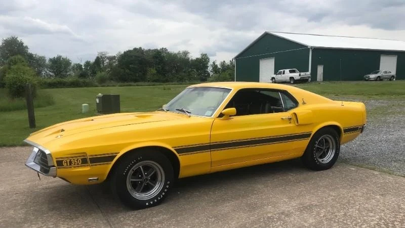 1969 Ford Shelby Mustang - Image 8 of 13