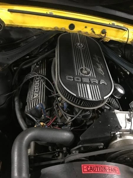 1969 Ford Shelby Mustang - Image 13 of 13