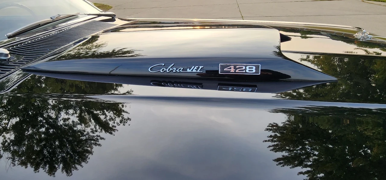 1969 Ford Torino 1st Gen - Image 11 of 21