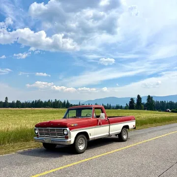 1969 Ford F100