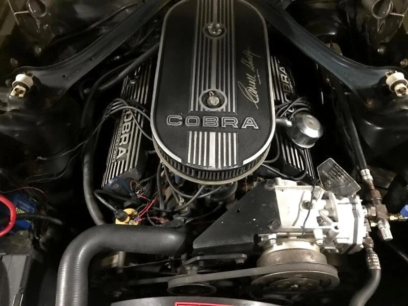 1969 Shelby GT350 - Image 13 of 15