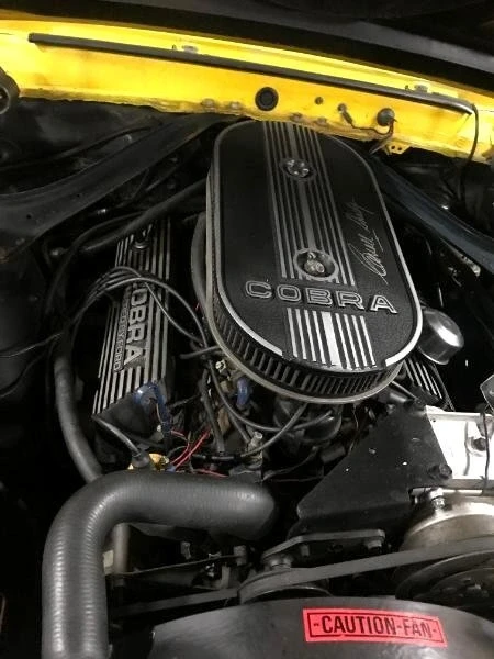 1969 Shelby GT350 - Image 15 of 15