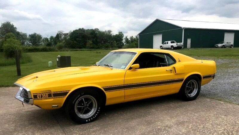 1969 Shelby GT350 - Image 11 of 16