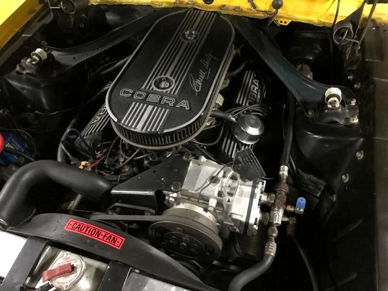 1969 Shelby GT350 - Image 15 of 16