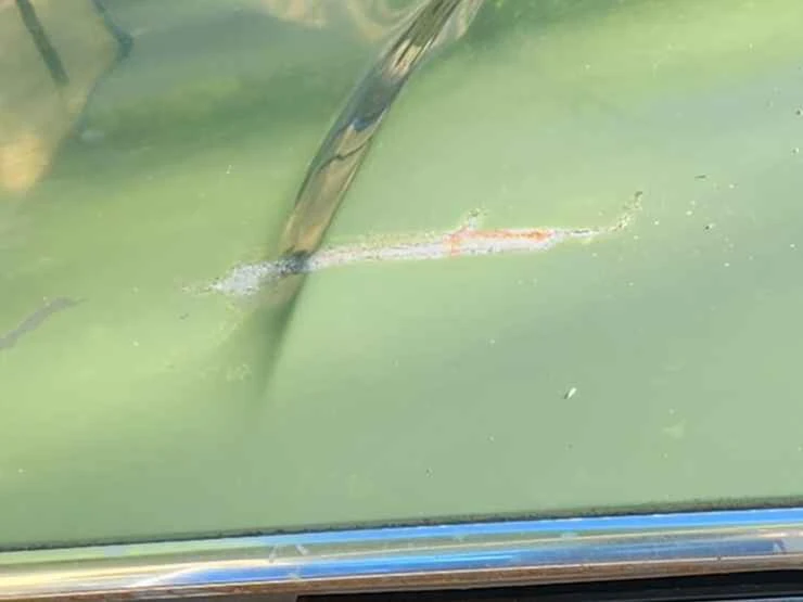 1969 Ford Thunderbird 5th Gen - Image 3 of 12