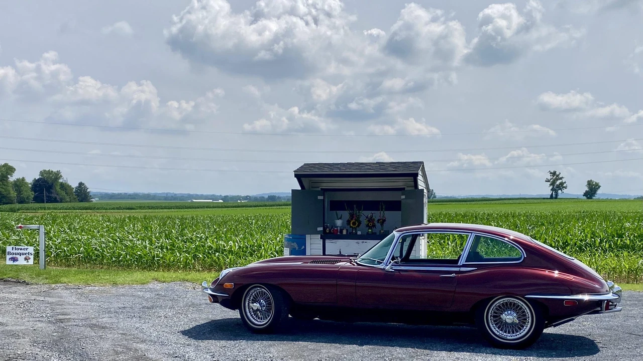 1969 Jaguar E-Type Series 2 2+2 - Image 12 of 31
