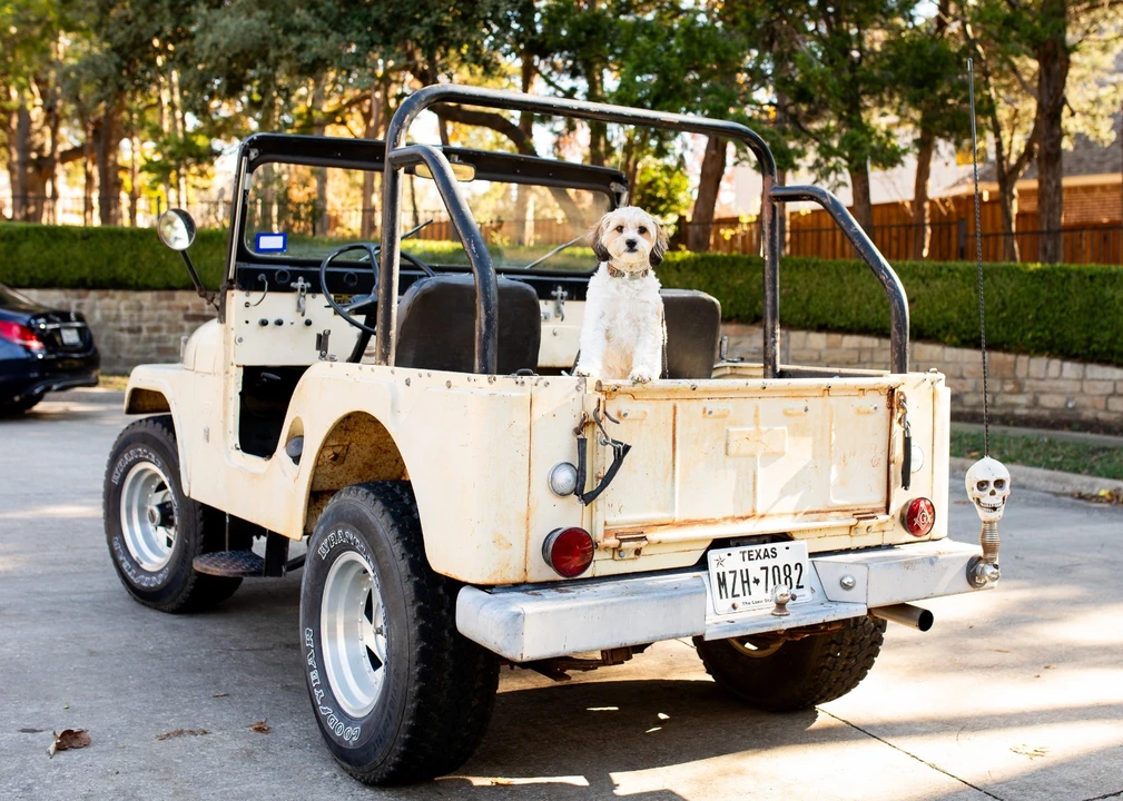 1969 Jeep CJ5 - Image 10 of 13