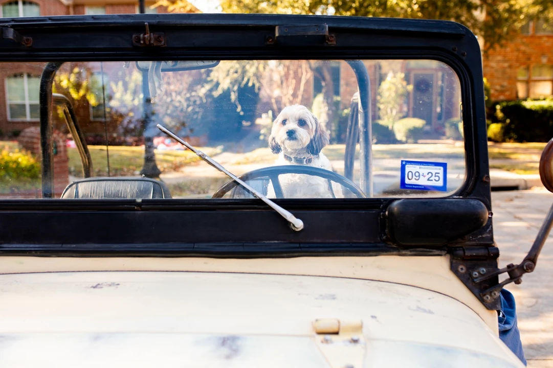 1969 Jeep CJ5 - Image 11 of 13