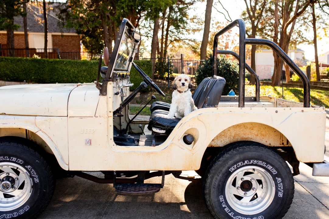 1969 Jeep CJ5 - Image 12 of 13