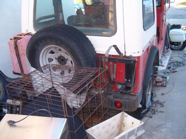 1969 Jeep CJ5 - Image 10 of 19