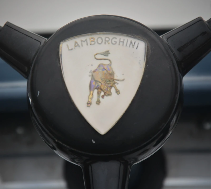 1969 Lamborghini Tractors - Image 24 of 31