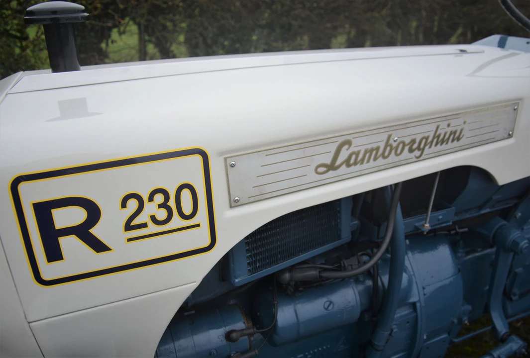 1969 Lamborghini Tractors - Image 22 of 31