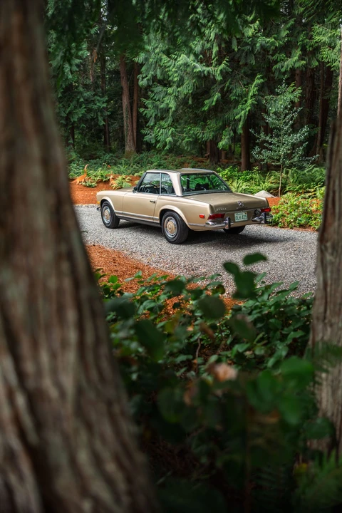 1969 Mercedes-Benz W113 SL-Class - Image 21 of 31