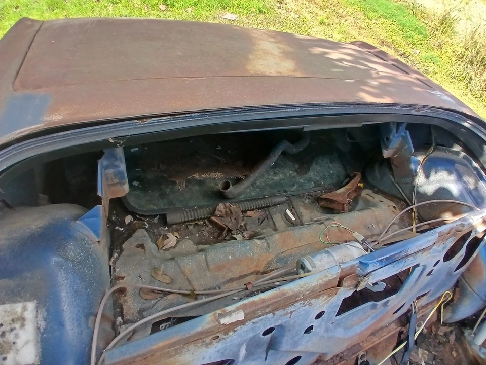 1969 Oldsmobile Cutlass 3rd Gen - Image 2 of 15