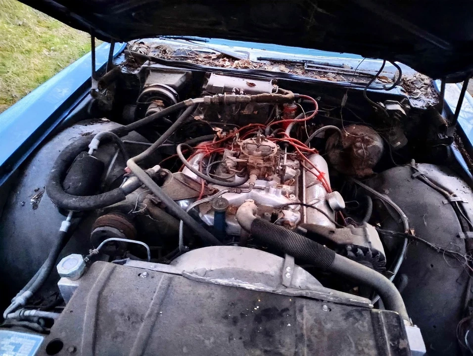 1969 Oldsmobile 88 - Image 12 of 13
