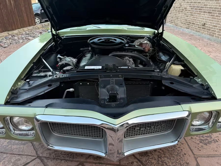 1969 Pontiac Firebird 1st Gen - Image 23 of 31