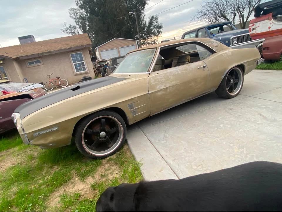1969 Pontiac Firebird 1st Gen - Image 3 of 17