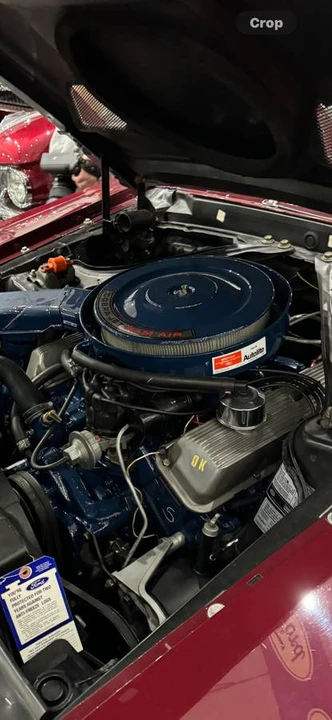 1969 Shelby GT500 - Image 14 of 18