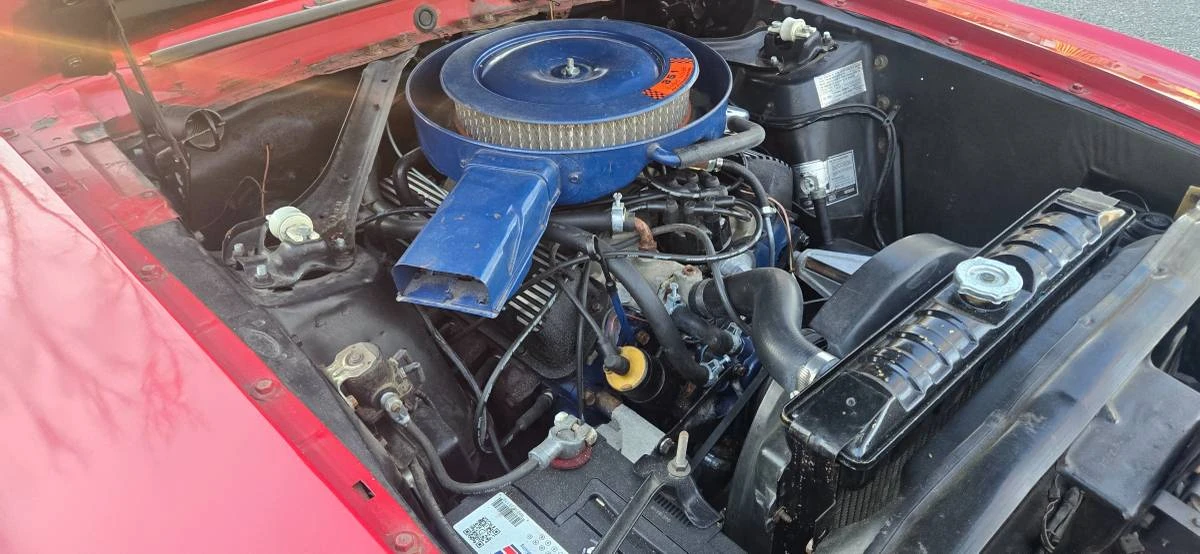 1969 Shelby GT350 - Image 20 of 21