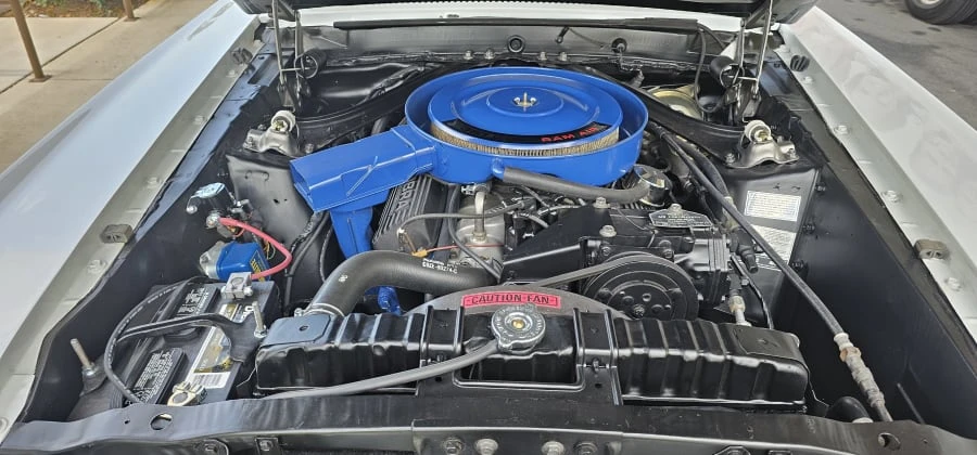 1969 Shelby GT350 - Image 19 of 25