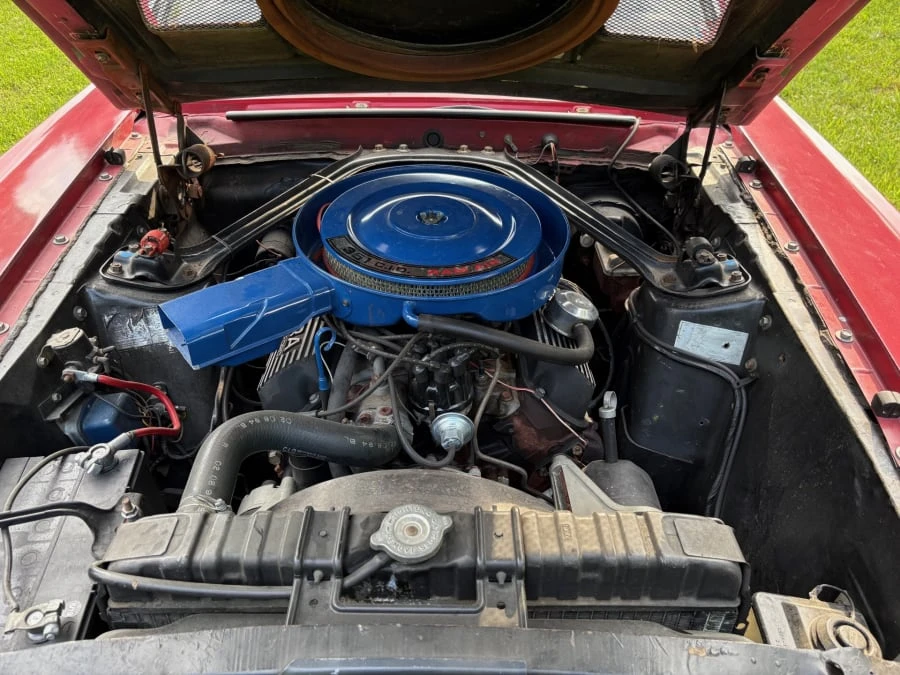 1969 Shelby GT350 - Image 24 of 28