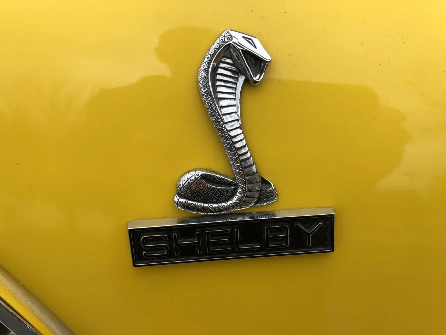 1969 Shelby GT350 - Image 3 of 4