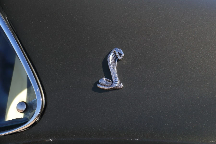 1969 Shelby GT500 - Image 11 of 31