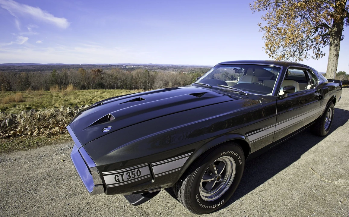 1969 Shelby GT350 - Image 24 of 31
