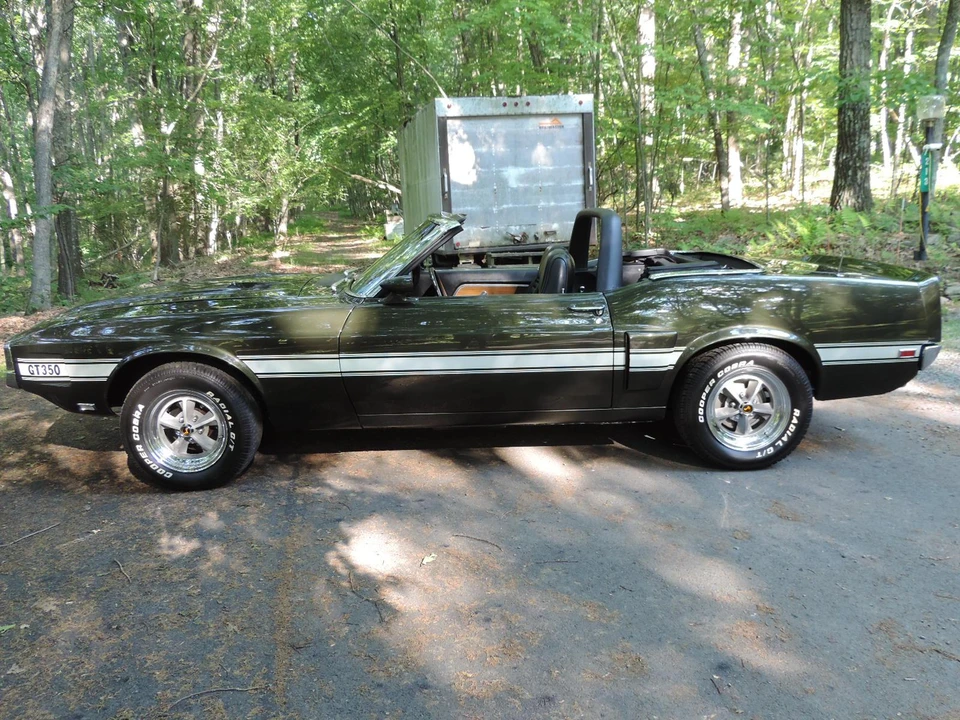 1969 Shelby GT350 - Image 14 of 31