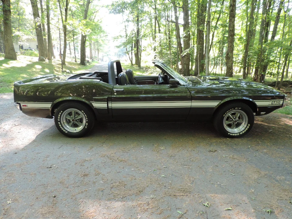 1969 Shelby GT350 - Image 17 of 31