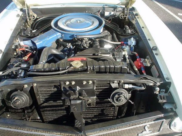 1969 Shelby GT500 - Image 4 of 6