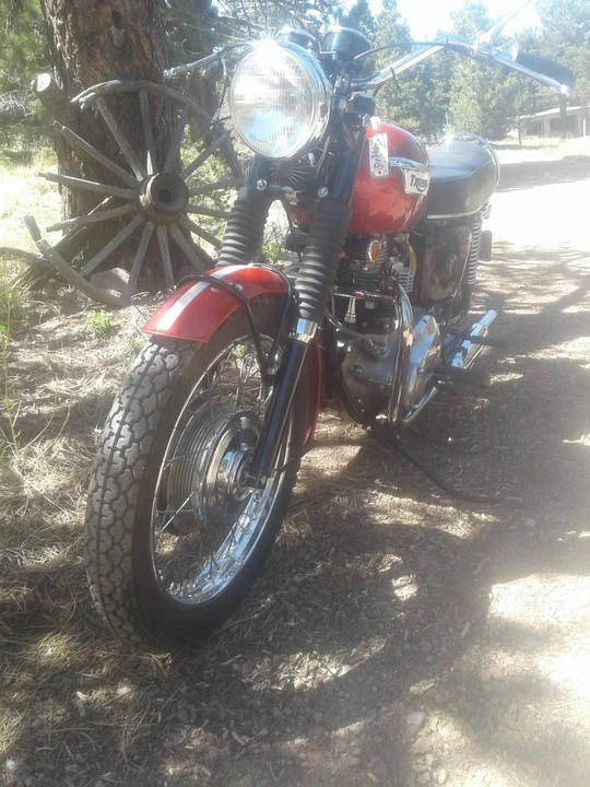 1969 Triumph Tiger (Triumph Engineering) - Image 22 of 31