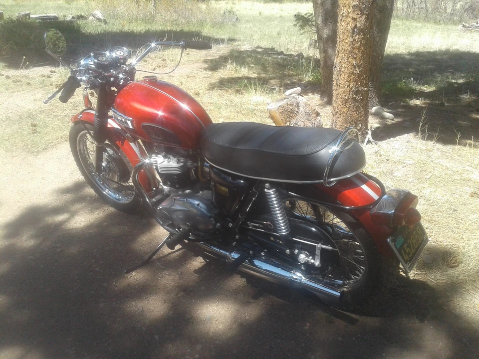 1969 Triumph Tiger (Triumph Engineering) - Image 6 of 31