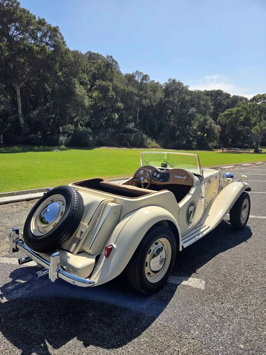 1969 Volkswagen Beetle - Image 3 of 20