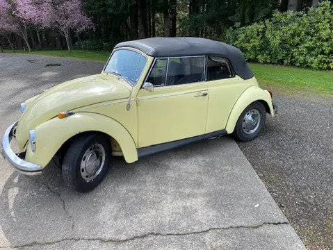 1969 Volkswagen Beetle Base