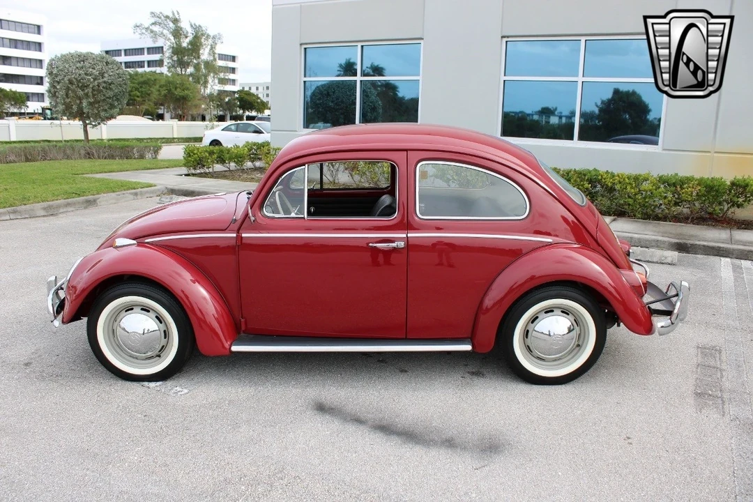 1969 Volkswagen Beetle (1958-1979) - Image 5 of 21