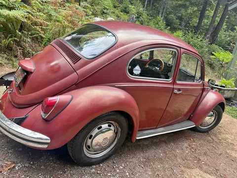 1969 Volkswagen Beetle Hatchback 2D