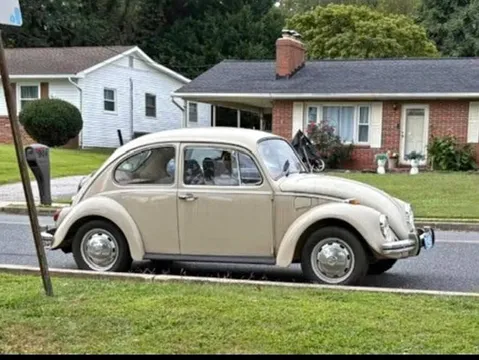 1969 Volkswagen Beetle Hatchback 2D