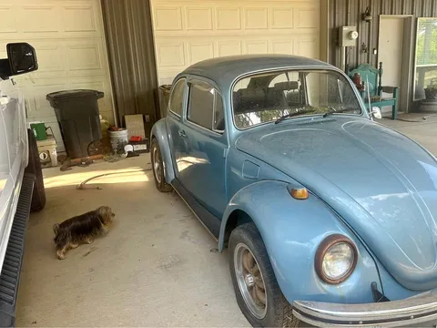 1969 Volkswagen Beetle