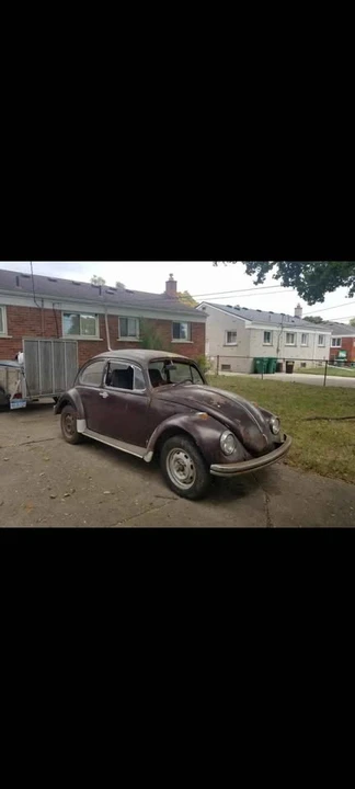 1969 Volkswagen Beetle (1958-1979) - Image 3 of 3