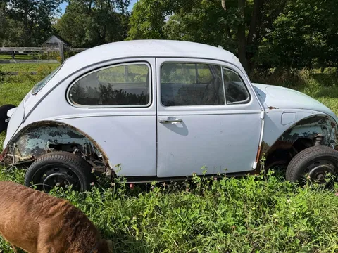 1969 Volkswagen Beetle