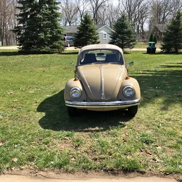 1969 Volkswagen Beetle